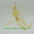 Hot selling Plastic how to make a skeleton model out of clay